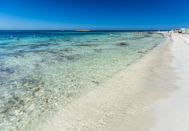 Villa à Ottiolu - Villa La Bella Villa à Ottiolu - Villa La Bella