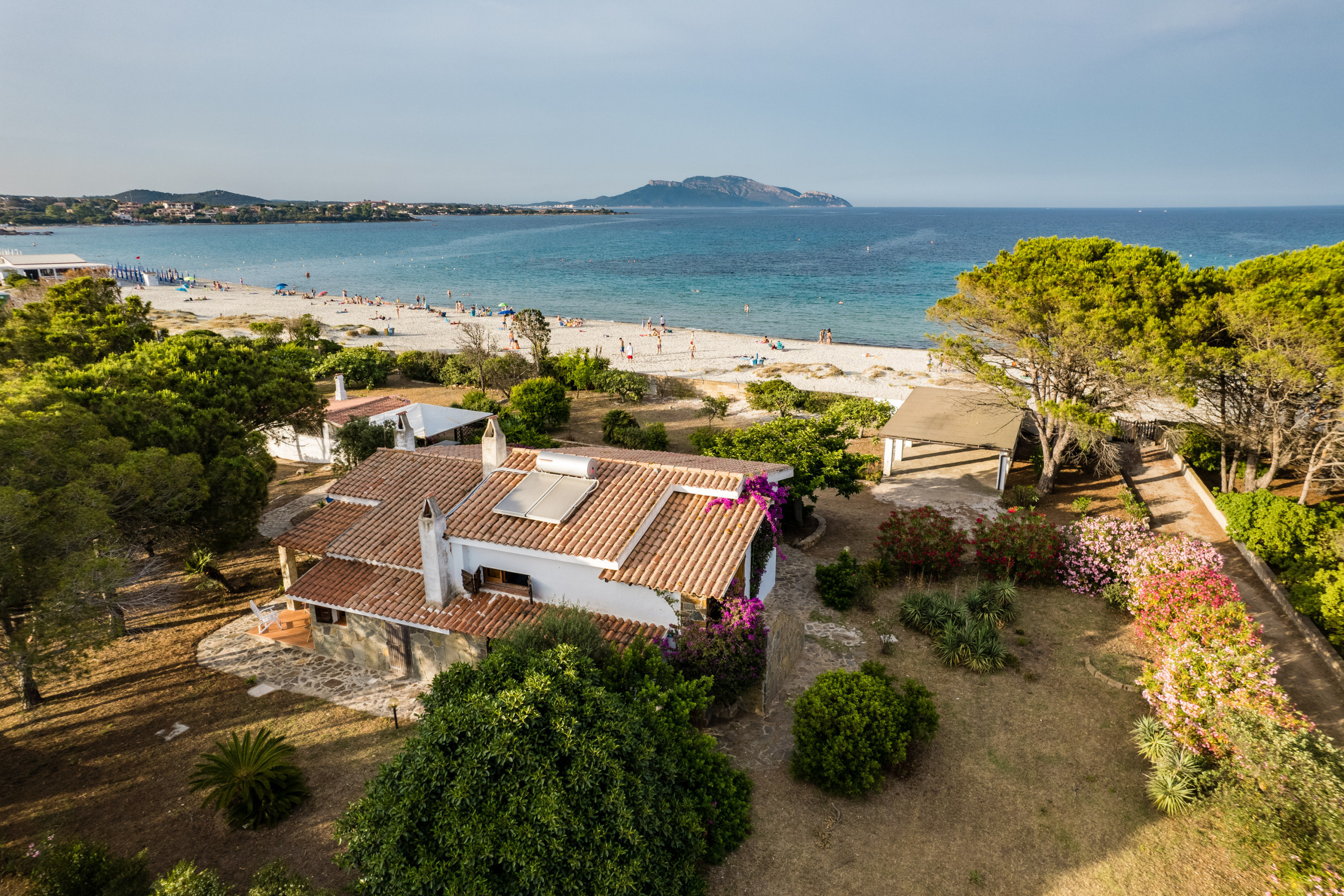 Villa Bay Pine - villa en bord de mer avec vue sur la mer en location à Pittulongu