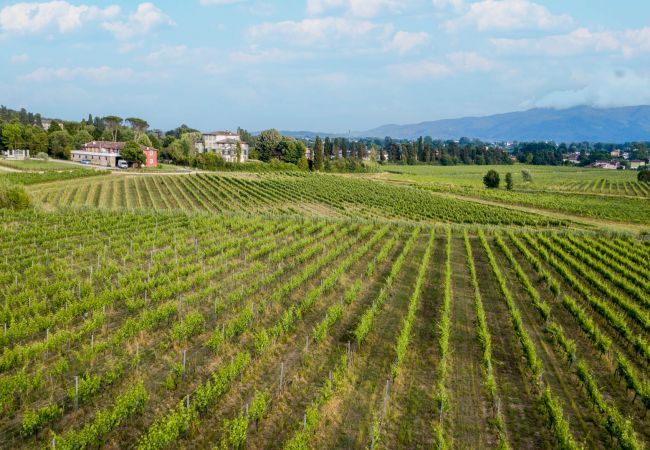 Appartement à Monte San quirico - Jacopo Farmhouse Apartment in Wine Resort in Lucca Appartement à Monte San quirico - Jacopo Farmhouse Apartment in Wine Resort in Lucca