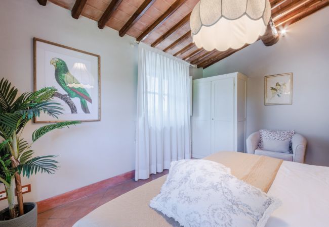 Appartement à Monte San quirico - Maria Farmhouse Apartment in Wine Resort in Lucca Appartement à Monte San quirico - Maria Farmhouse Apartment in Wine Resort in Lucca