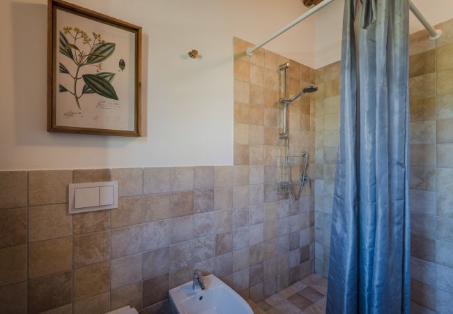 Appartement à San Gennaro - Casa Pinocchio at Borghetto Farmhouse Appartement à San Gennaro - Casa Pinocchio at Borghetto Farmhouse