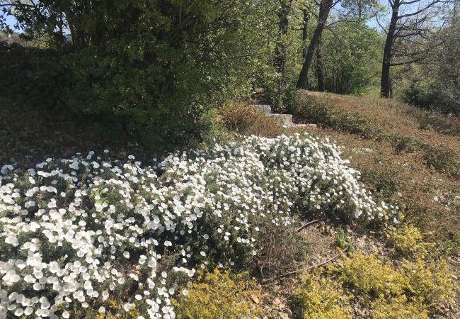 Appartement à San Gennaro - Casa Lucchese at Borghetto Farmhouse Appartement à San Gennaro - Casa Lucchese at Borghetto Farmhouse