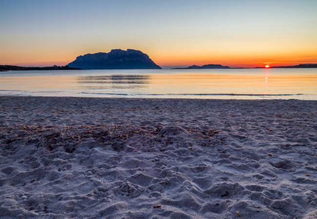 Appartement à Olbia - Myrsine Mara by Klodge - Appartement de plage Marina Maria avec vue sur la mer