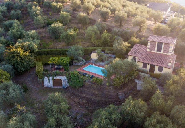 Villa à Lucques - Villa Debby, 2 bedrooms Farmhouse with Pool on the Hills of Lucca