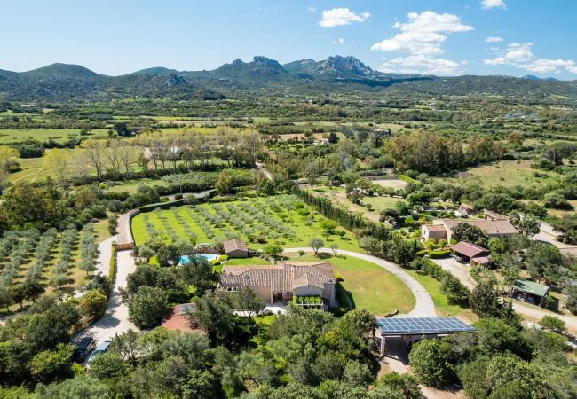 Villa à Arzachena - Villa degli Ulivi - maison de campagne avec piscine privée