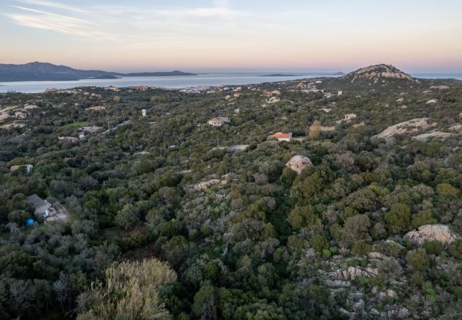 Appartement à Porto Rotondo - I Lecci 1 - vue mer et nature à Porto Rotondo