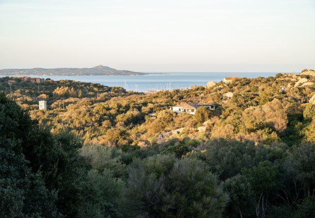 Appartement à Porto Rotondo - I Lecci 1 Appartement à Porto Rotondo - I Lecci 1