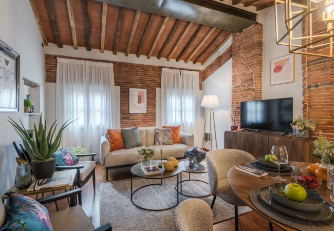 Appartement à Lucca - La Dorina Penthouse Appartement à Lucca - La Dorina Penthouse