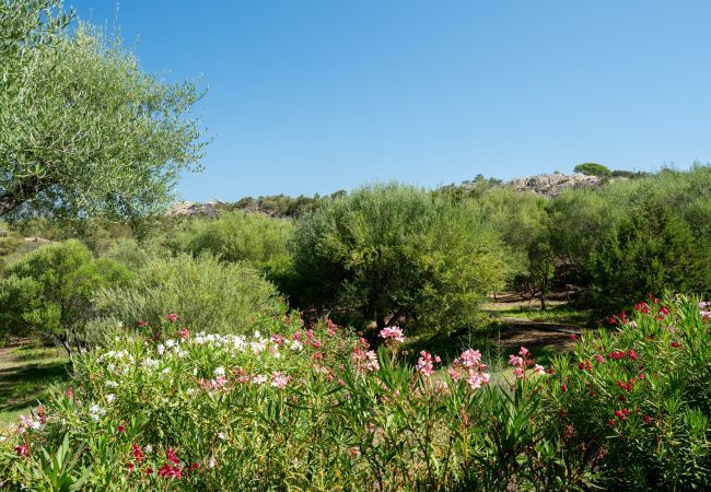 Appartement à Porto Rotondo - Caletta Nest 88 Appartement à Porto Rotondo - Caletta Nest 88