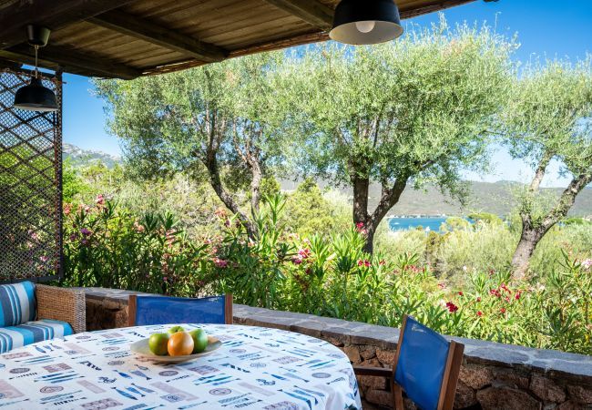 Appartement à Porto Rotondo - Caletta Nest 88 Appartement à Porto Rotondo - Caletta Nest 88