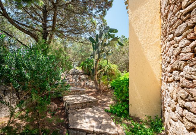 Appartement à Porto Rotondo - Caletta Nest 88 Appartement à Porto Rotondo - Caletta Nest 88