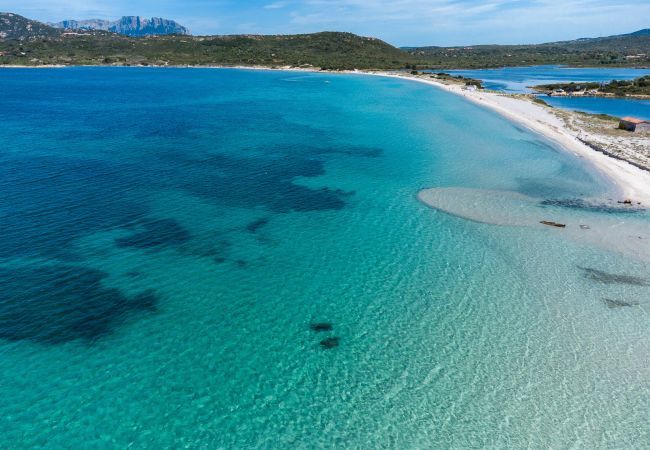 Appartement à Olbia - Alfiere Arc Loft Appartement à Olbia - Alfiere Arc Loft