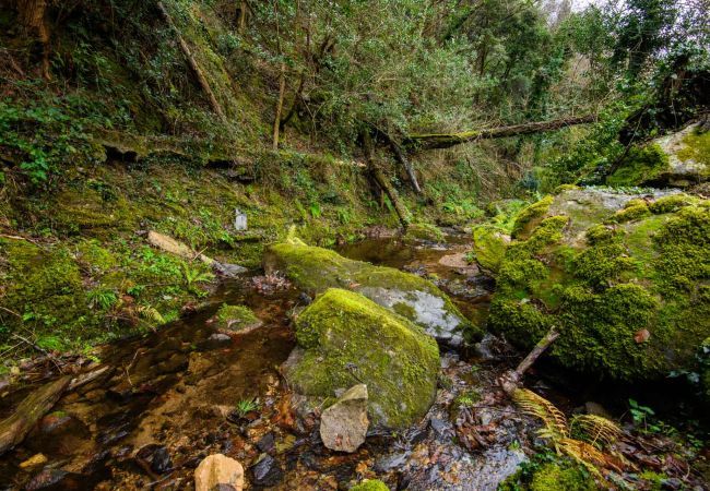 Villa à Santa Maria del giudice - Molino Giusti Farmhouse Villa à Santa Maria del giudice - Molino Giusti Farmhouse