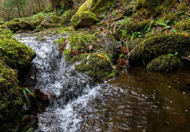 Villa à Santa Maria del giudice - Molino Giusti Farmhouse Villa à Santa Maria del giudice - Molino Giusti Farmhouse