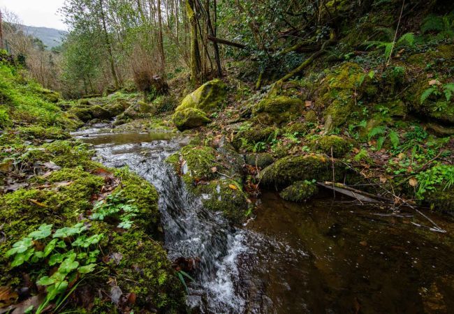 Villa à Santa Maria del giudice - Molino Giusti Farmhouse Villa à Santa Maria del giudice - Molino Giusti Farmhouse