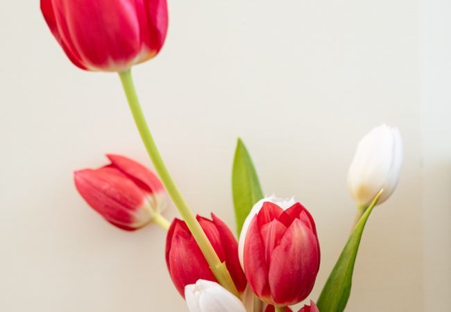 Appartement à Olbia - The Fleur Studio Suite Appartement à Olbia - The Fleur Studio Suite