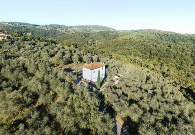 Villa à Lucca - Villa Querciabella Villa à Lucca - Villa Querciabella