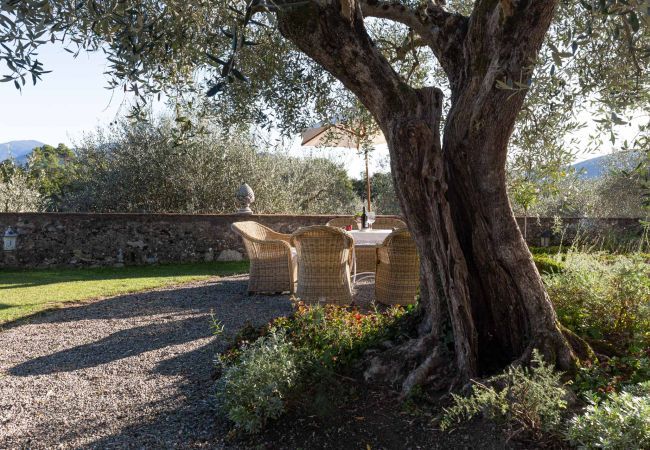 Villa à Lucca - Villa Querciabella Villa à Lucca - Villa Querciabella