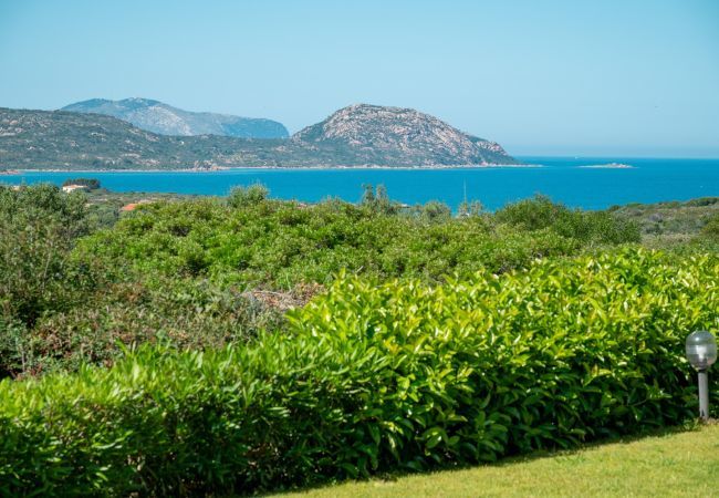 Villa à Porto San Paolo - Villa Pogelia Villa à Porto San Paolo - Villa Pogelia