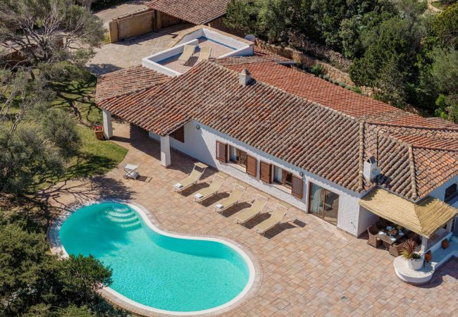 Villa à San Pantaleo - Villa Junia