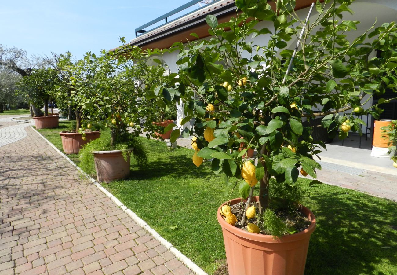 Maison à Lazise - Regarda - Villa olivi 10 a Lazise avec piscine, wifi, climatisation