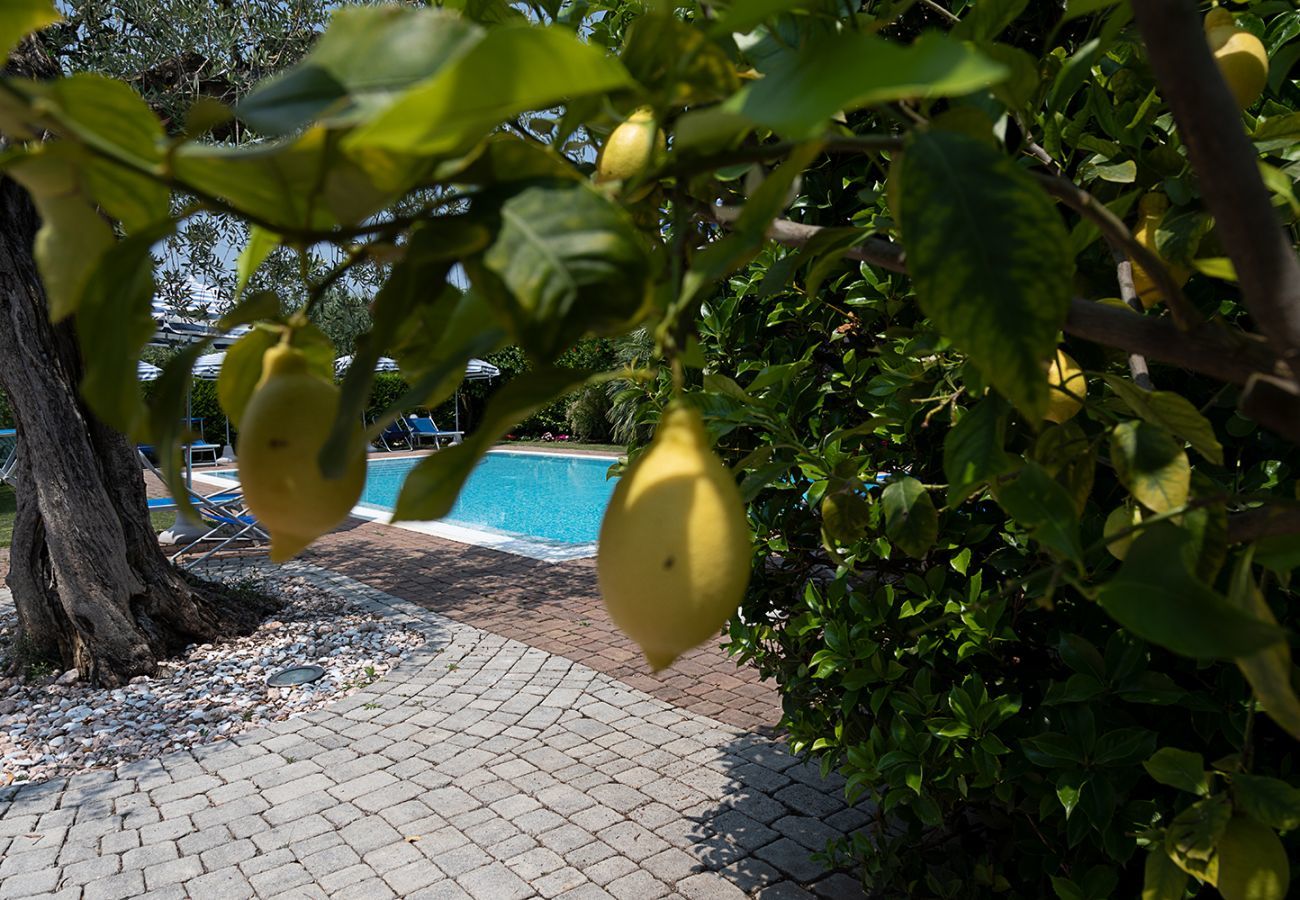 Maison à Lazise - Regarda - Villa olivi 10 a Lazise avec piscine, wifi, climatisation