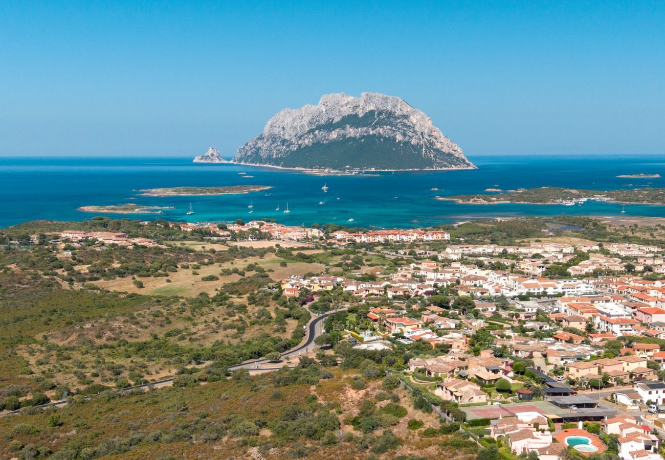 Villa à Porto San Paolo - Villa Alberto