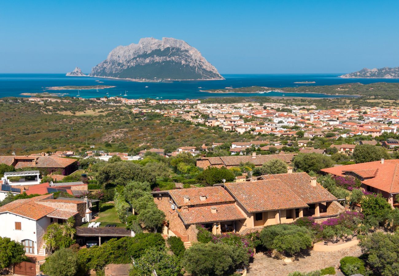 Villa à Porto San Paolo - Villa Alberto