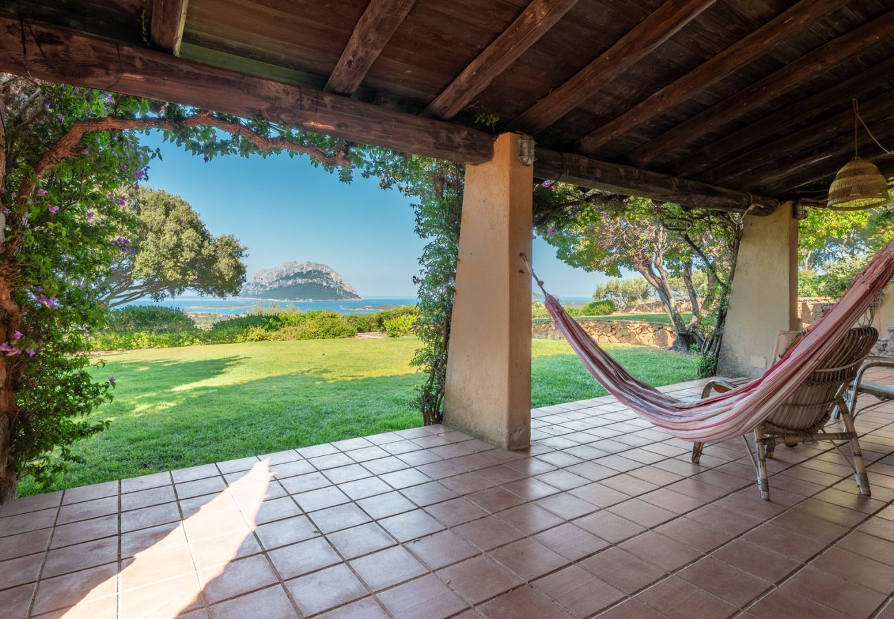 Villa à Porto San Paolo - Villa Alberto