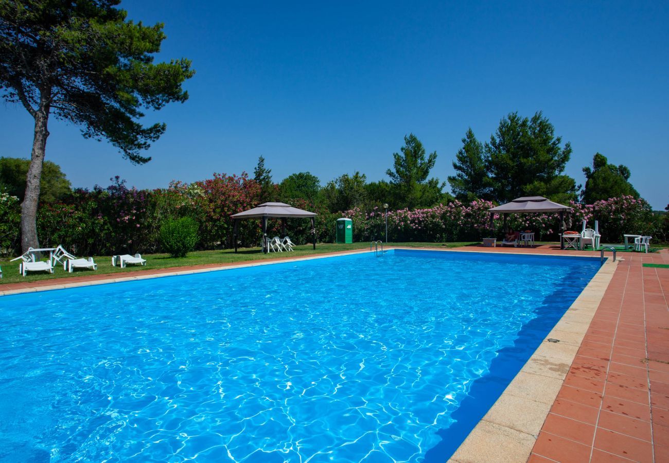 Appartement à Porto Rotondo - Caletta 10 - maison front mer avec piscine, tennis