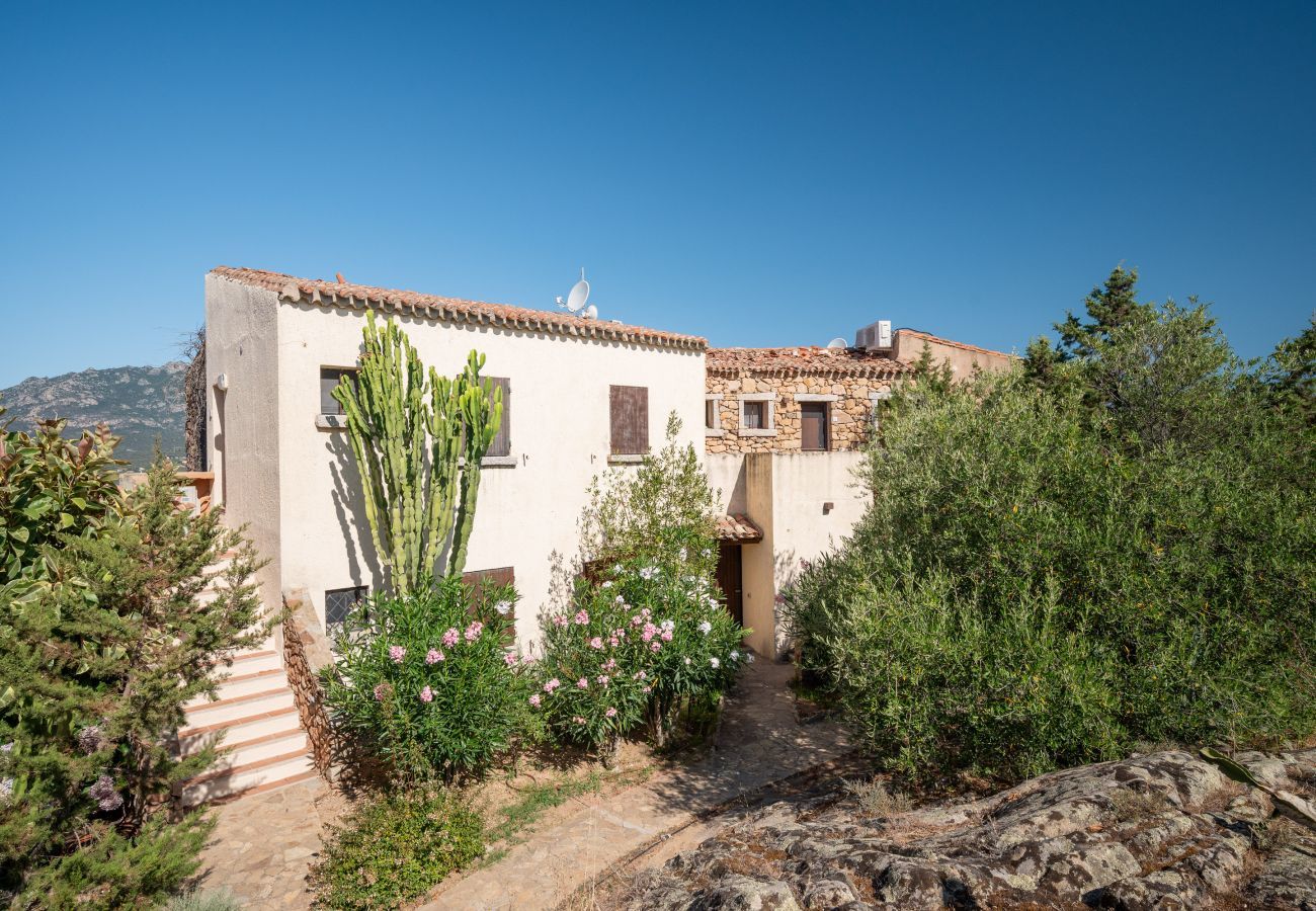 Appartement à Porto Rotondo - Caletta Nest 108