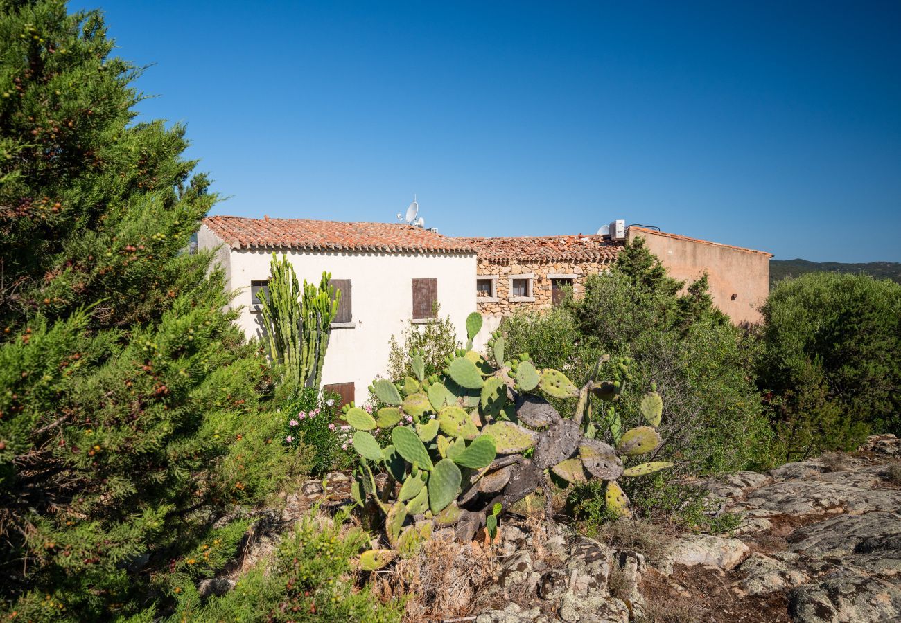 Appartement à Porto Rotondo - Caletta Nest 108