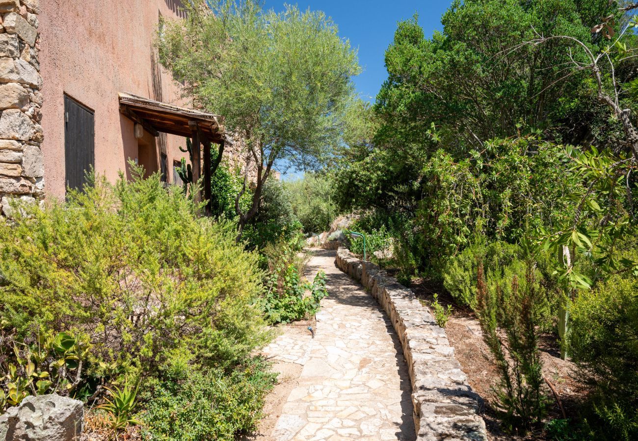 Appartement à Porto Rotondo - Caletta Nest 108