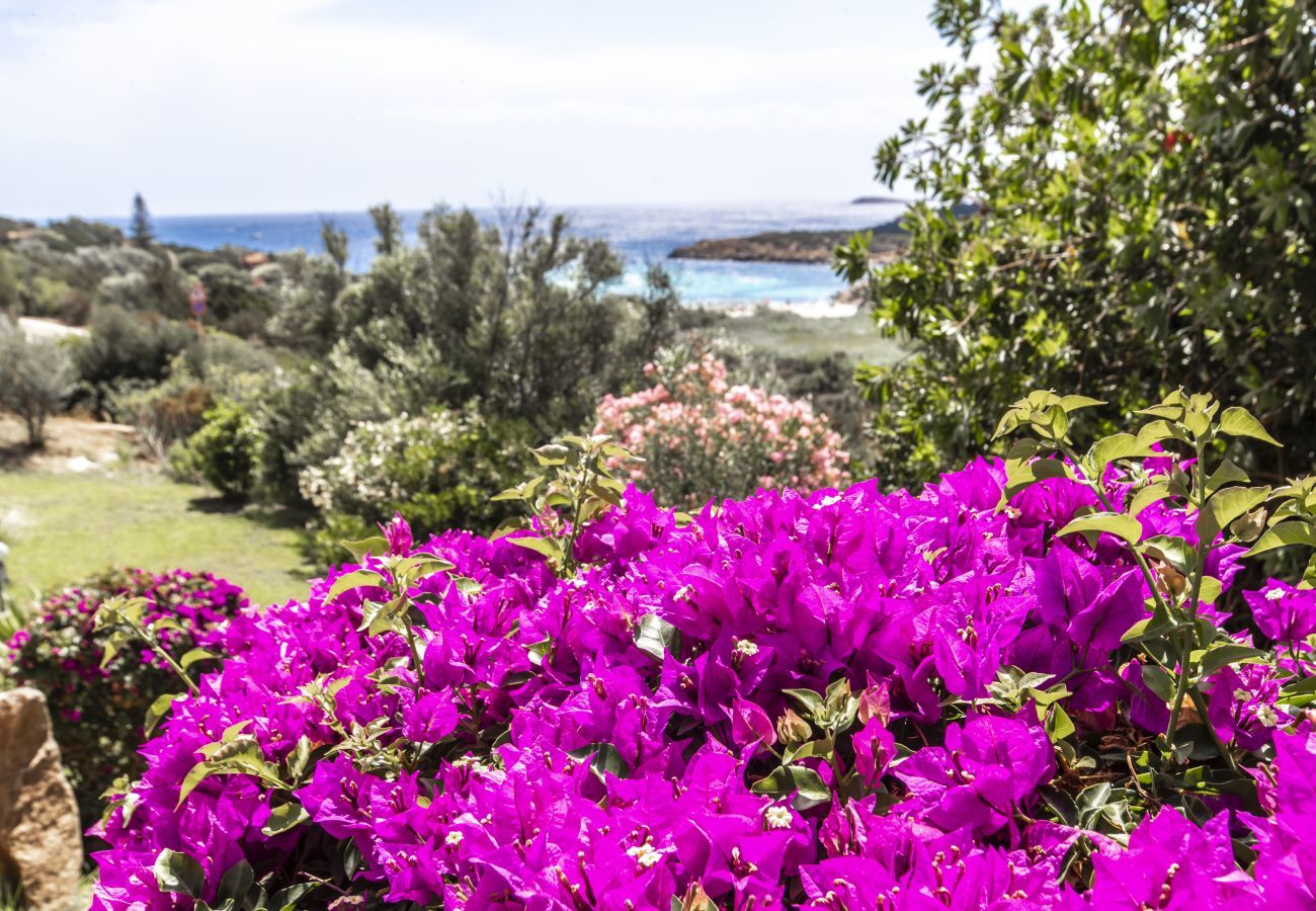 Villa à Porto Cervo - Porto Cervo Swimming Pool Villa R&R