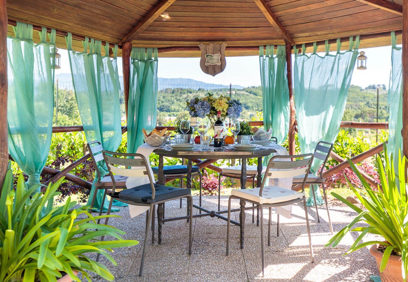 Villa à Capannori - Villa Catia