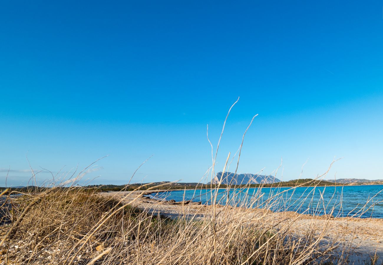 Chalet à San Teodoro - Case Peschiera 11 - maison individuelle à quelques pas de Lu Impostu