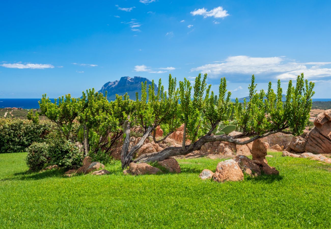 Villa à Porto San Paolo - Villa Halliv