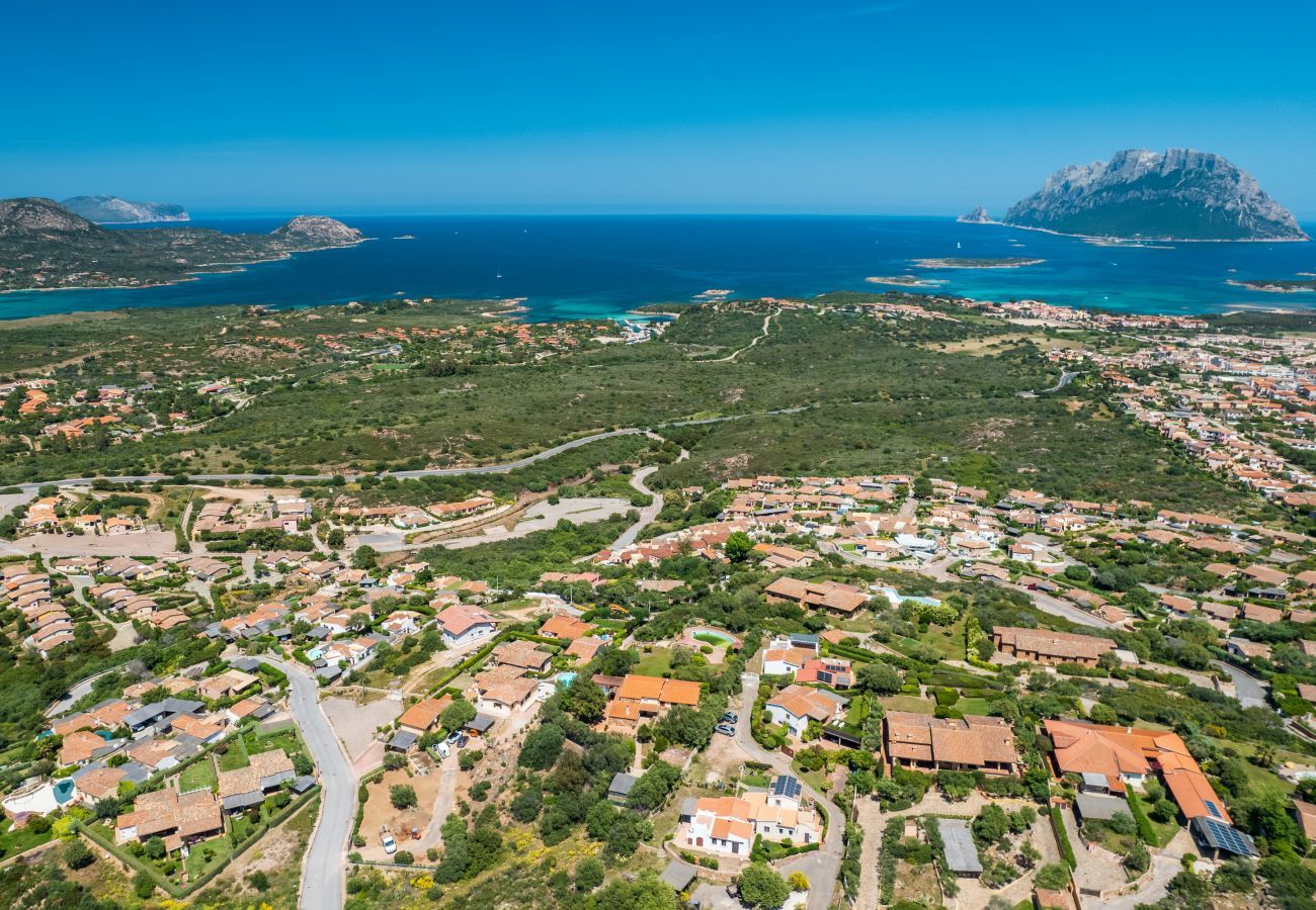 Villa Kiki - vue panoramique sur la côte nord de la Sardaigne, villa en location avec piscine privée