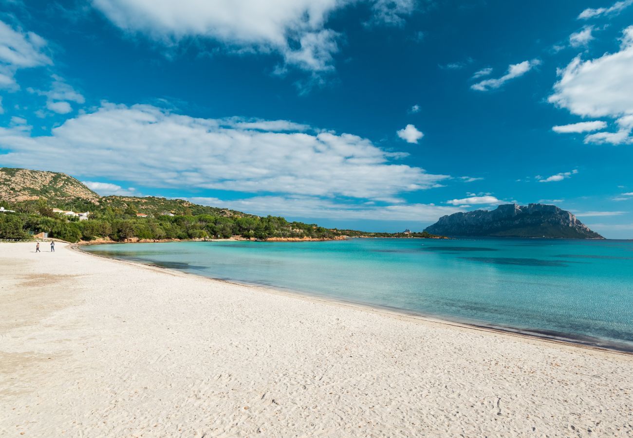 Villa à Olbia - Villa Majra - superbe piscine surplombant Tavolara