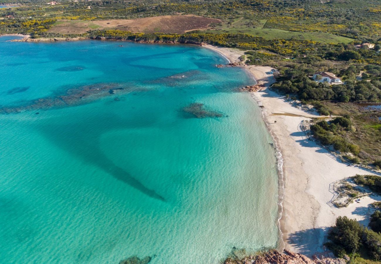 Villa à Olbia - Villa Majra