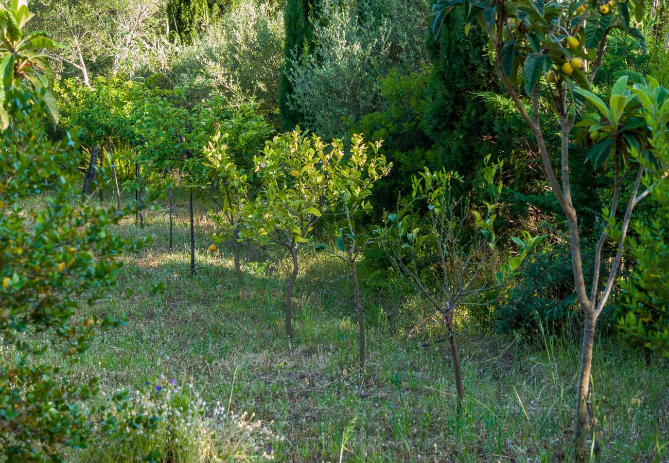 Gîte Rural à Olbia - Country Lodge - détente & nature près P. Rotondo