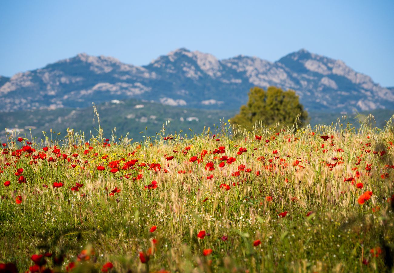 Gîte Rural à Olbia - Country Lodge - détente & nature près P. Rotondo