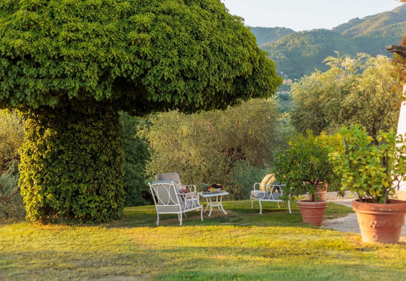 Villa à Capannori - Villa Noa, Romantic 8 bedroom Luxury Farmhouse with Private Pool on the Lucca Hills