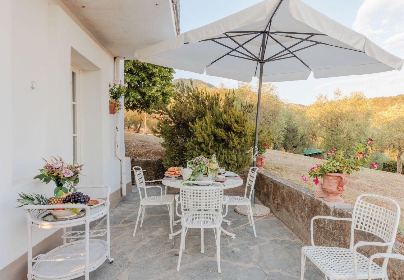 Villa à Capannori - Villa Noa, Romantic 8 bedroom Luxury Farmhouse with Private Pool on the Lucca Hills