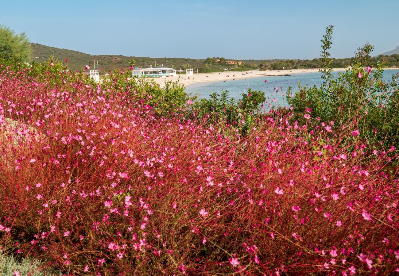 Villa Azul - jardin avec vue sur la mer dans maison de vacances à Olbia gérée par Klodge