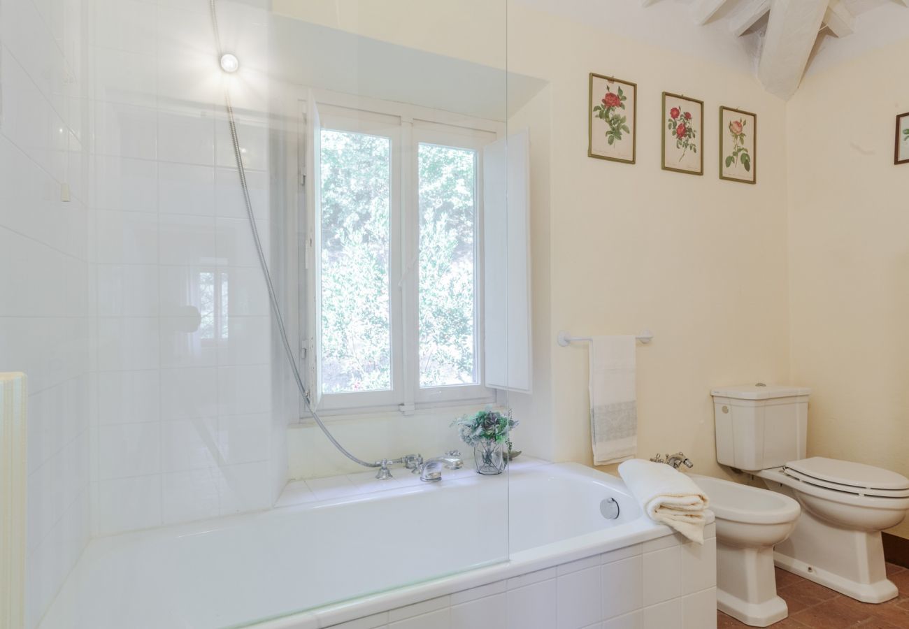 Villa à Camaiore - Villa Birdsong
