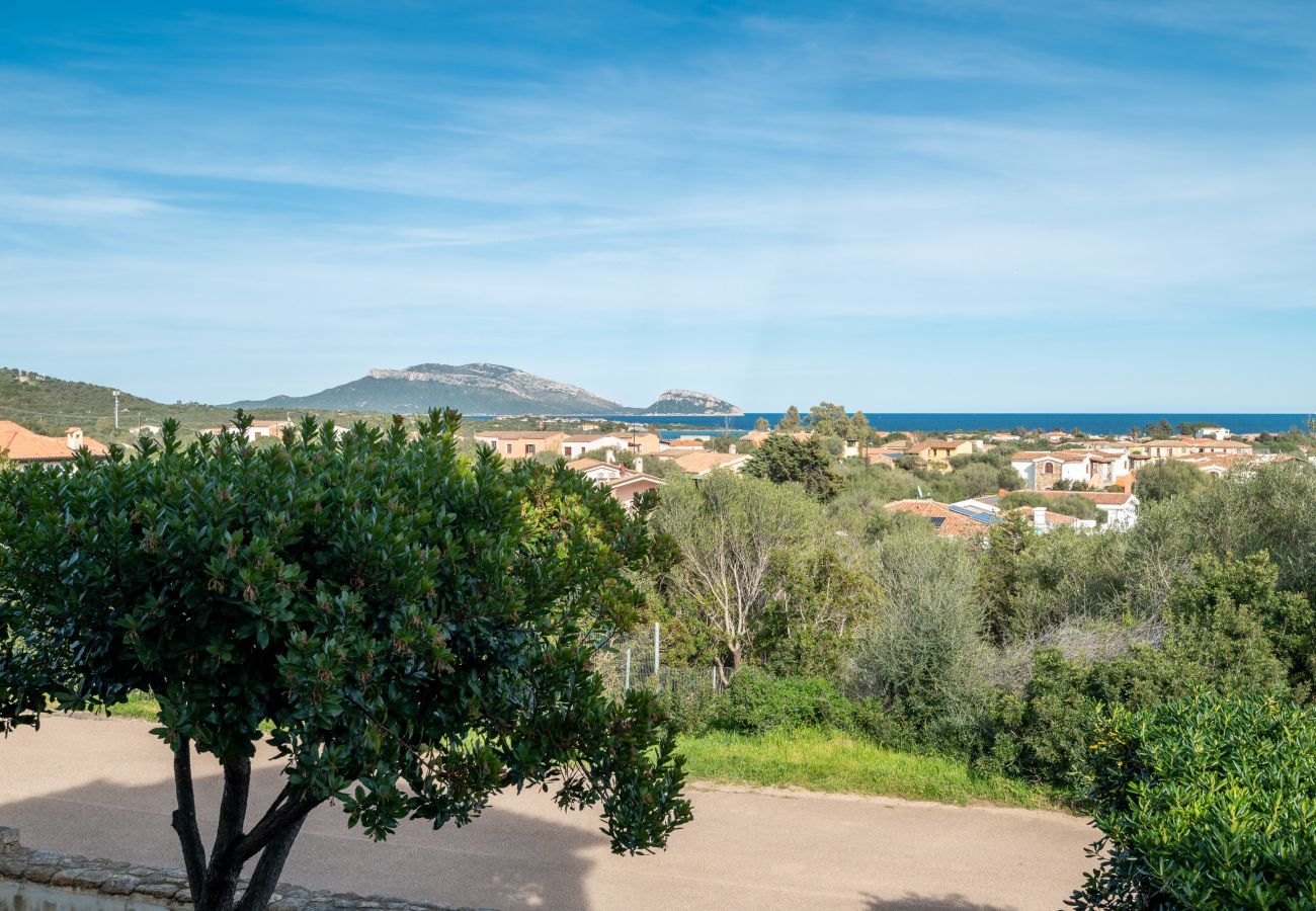 Appartement à Olbia - Sea Shell 17 - Retraite avec vue sur l'île