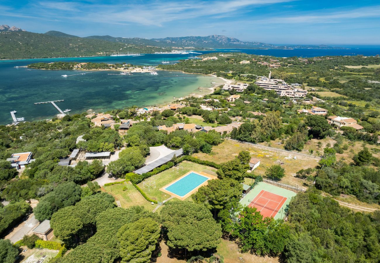 Appartement à Porto Rotondo - Caletta 53 - appartement en bord de mer avec piscine et court de tennis