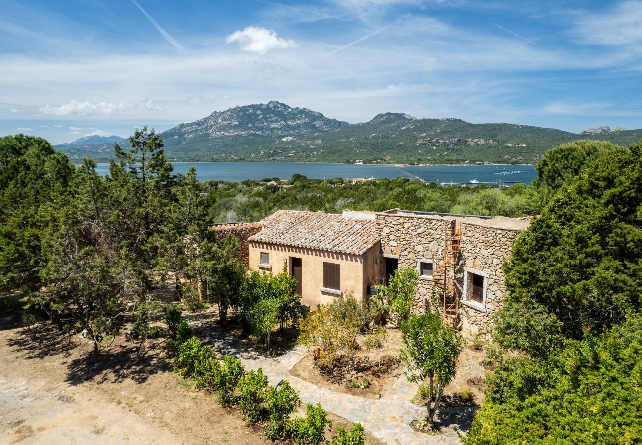 Appartement à Porto Rotondo - Caletta 53 - appartement en bord de mer avec piscine et court de tennis