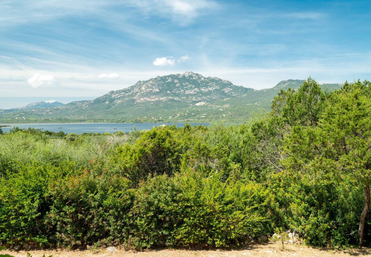 Appartement à Porto Rotondo - Caletta 53 - appartement en bord de mer avec piscine et court de tennis